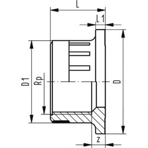 pre Typ 546 a 543,  PVC-C koncovka, Rp zosilnený - Image 2